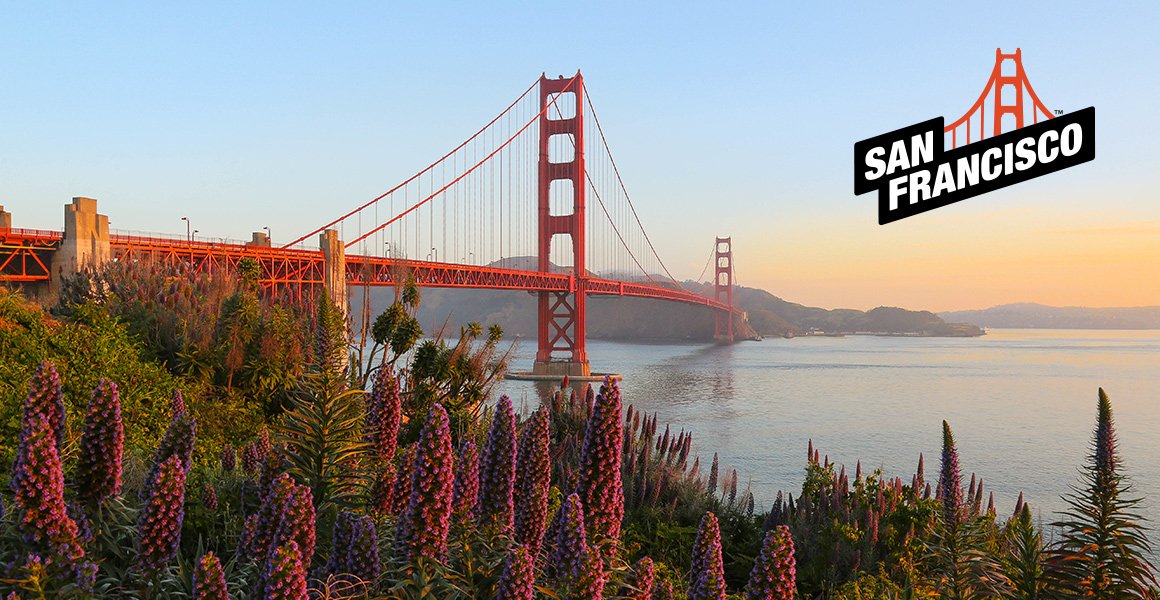 San Francisco Bridge and Logo