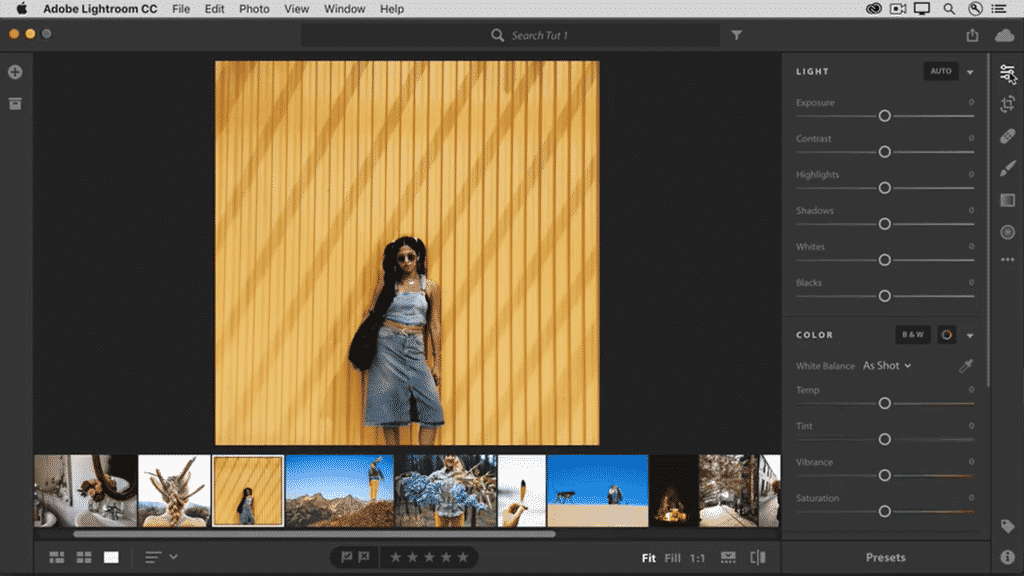 Adobe Lightroom Interface - Pros and Cons